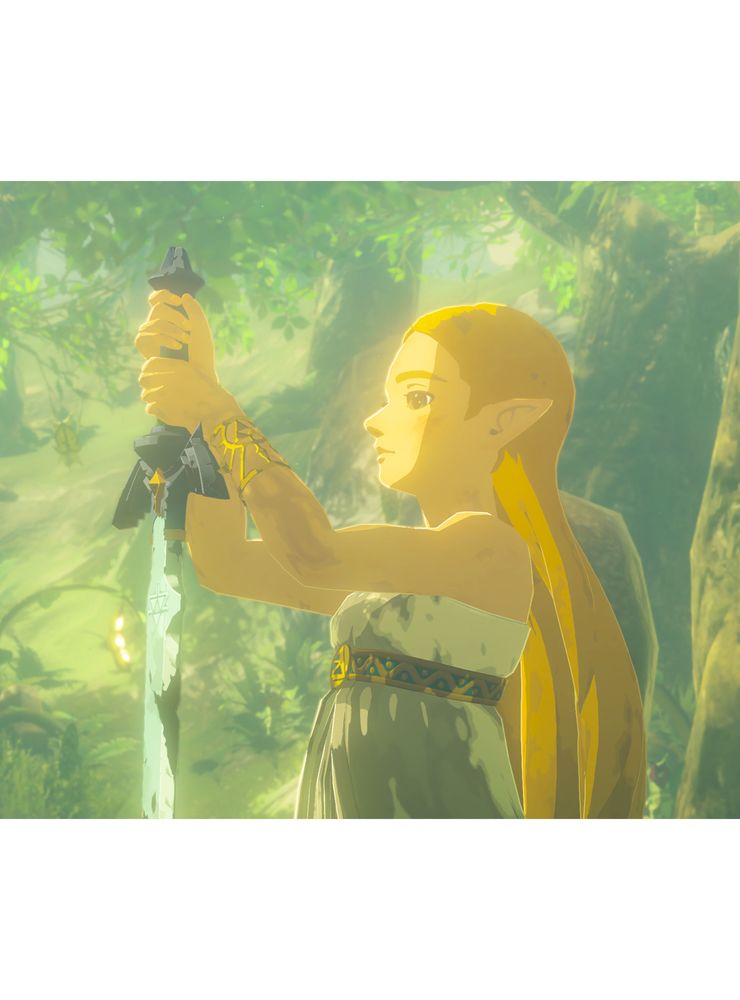 Nintendo The Legend of Zelda: Breath of the Wild Nintendo Switch 2 Edition, foto 3
