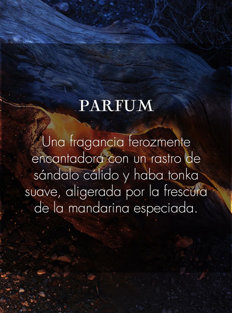 Dior Sauvage Parfum 200 ml, foto 4