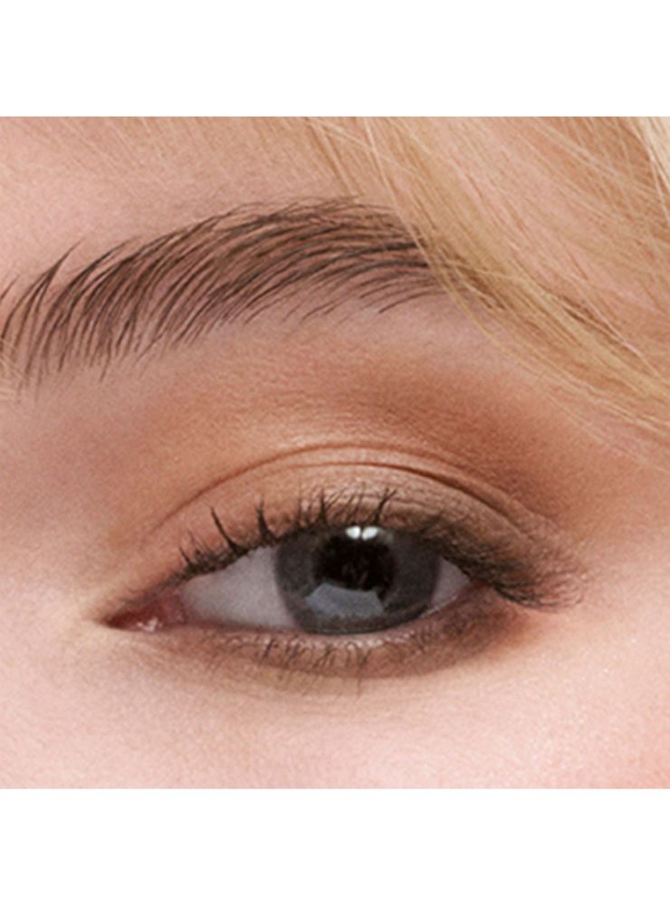 Estée Lauder Pure Color Envy Luxe Eyeshadow Quad Gallery Hop, foto 3