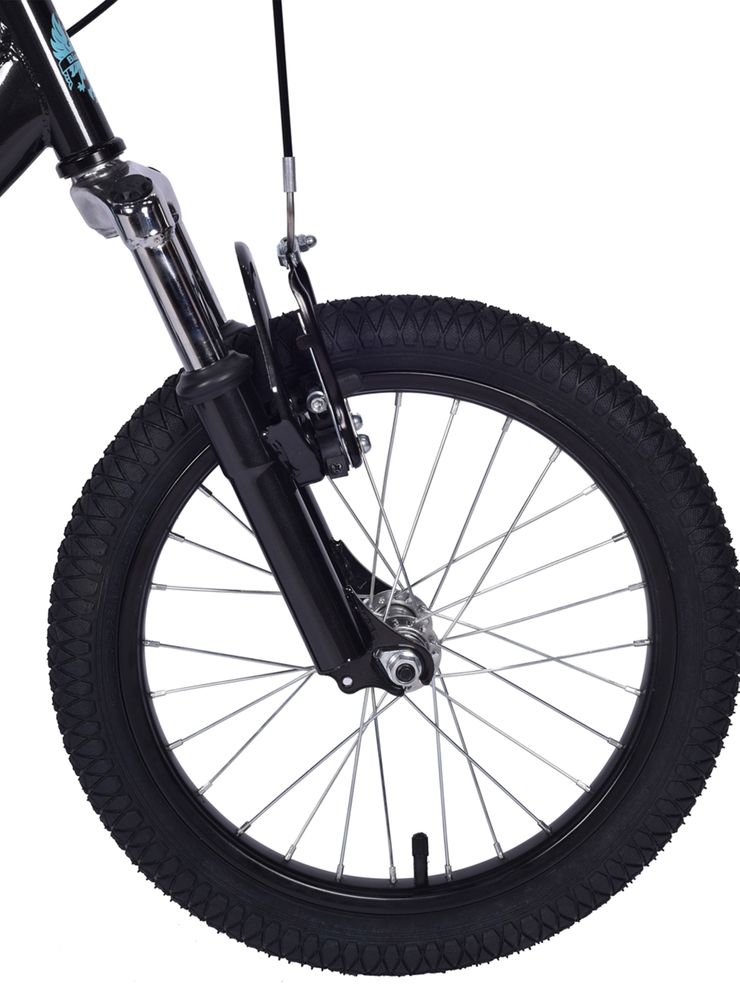 Bianchi Goliat 16 DSX Negro, foto 4