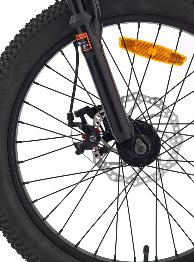 Bianchi Wolf 20 SX Plata, foto 4