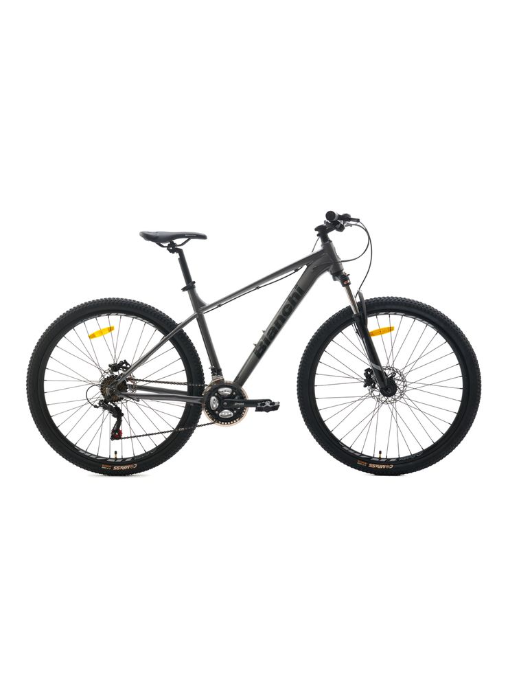 Bianchi Bicicleta MTB Stone Aro 29' R9.1