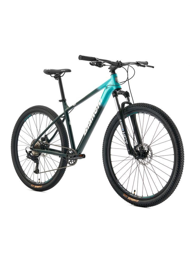 Bianchi Aggressor 29 SX ESSA Talla M Verde, foto 2