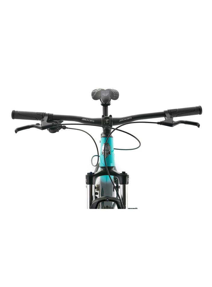 Bianchi Aggressor 29 SX ESSA Talla M Verde, foto 3