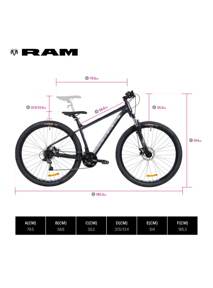 Ram Rebel 29 Gris, foto 2