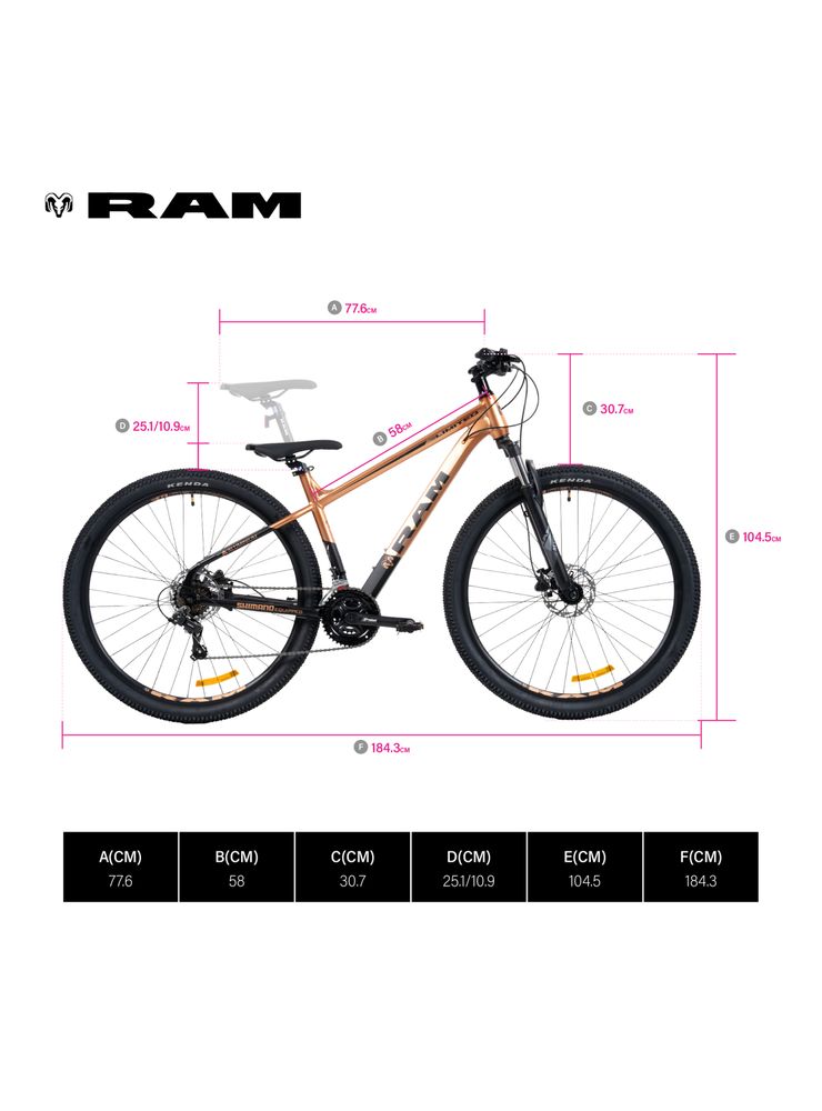 Ram Limited 29 Café, foto 2