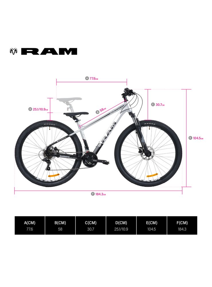 Ram Limited 29 Gris Claro, foto 2