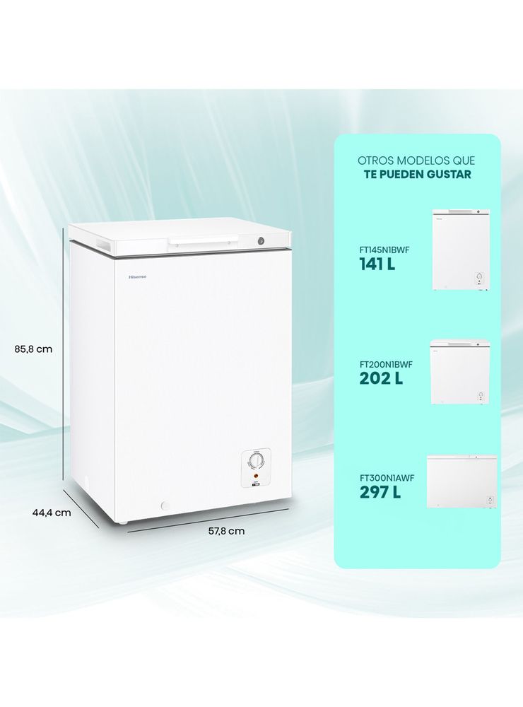 Hisense FT100N1BWF Blanco, foto 2