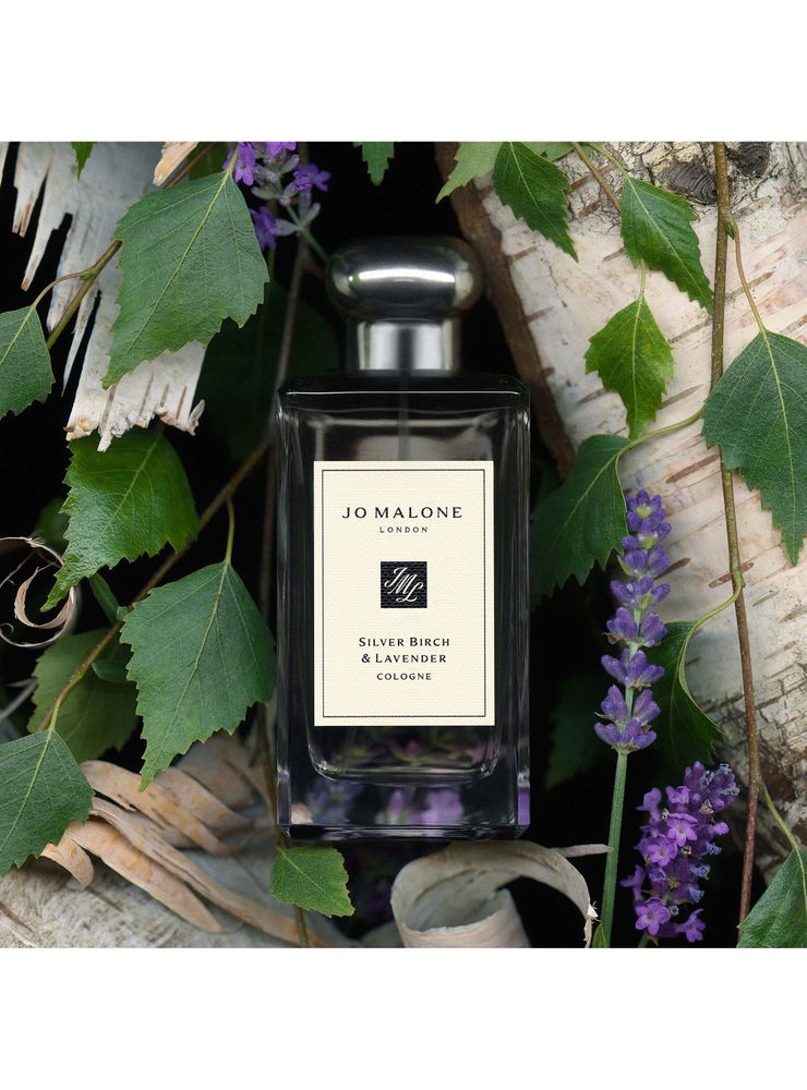 Jo Malone London Silver Birch & Lavender EDC 100 ml, foto 3