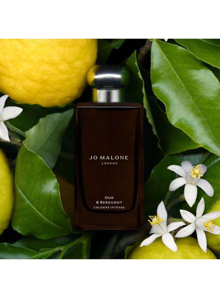 Jo Malone London Oud & Bergamot Cologne Intense EDC 30 ml, foto 4