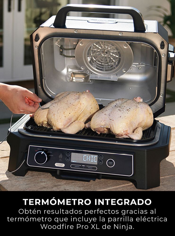 Parrilla Eléctrica Woodfire XL, foto 5
