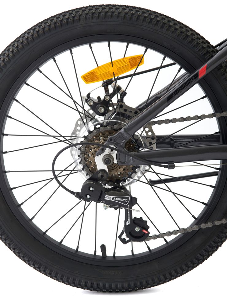 Bianchi Wolf 20 SX Gris, foto 3