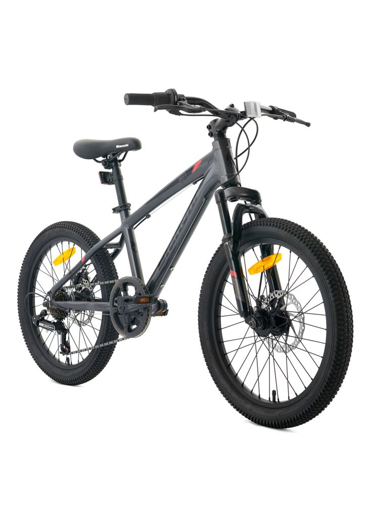 Bianchi Wolf 20 SX Gris, foto 2