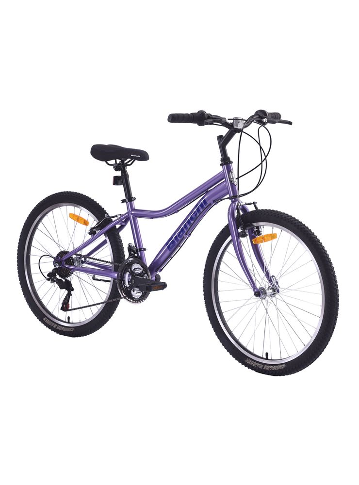 Bianchi Classic 24 ST Morado, foto 2