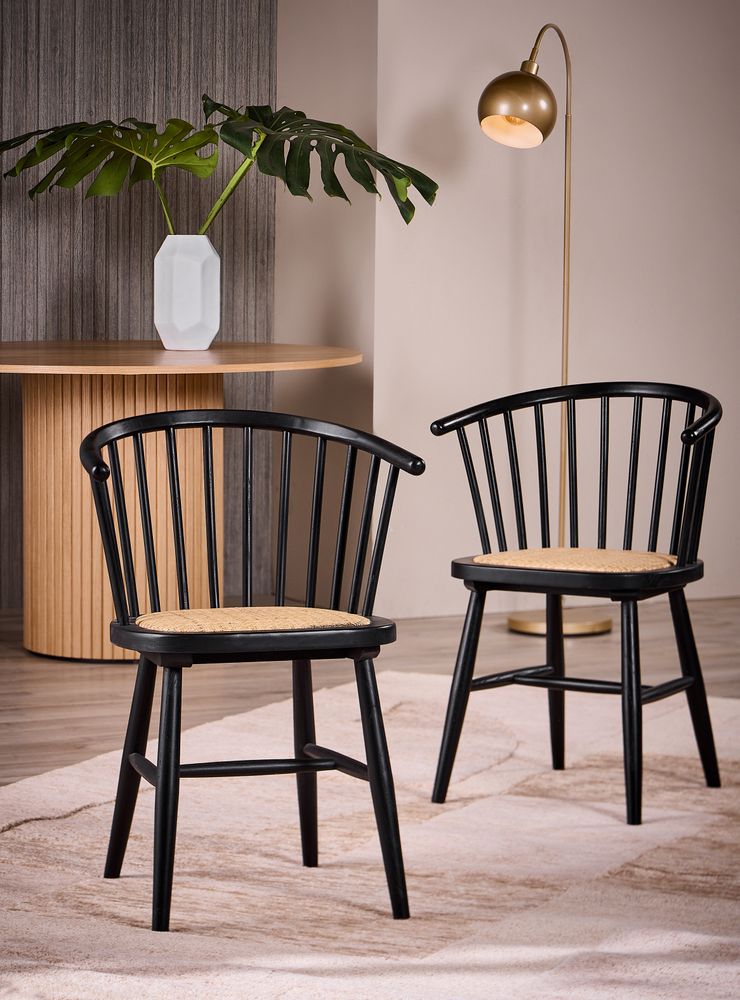 Alaniz Home Par de Sillas Corral Negro