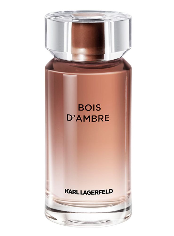 Karl Lagerfeld Bois d'Ambre EDT 100 ml