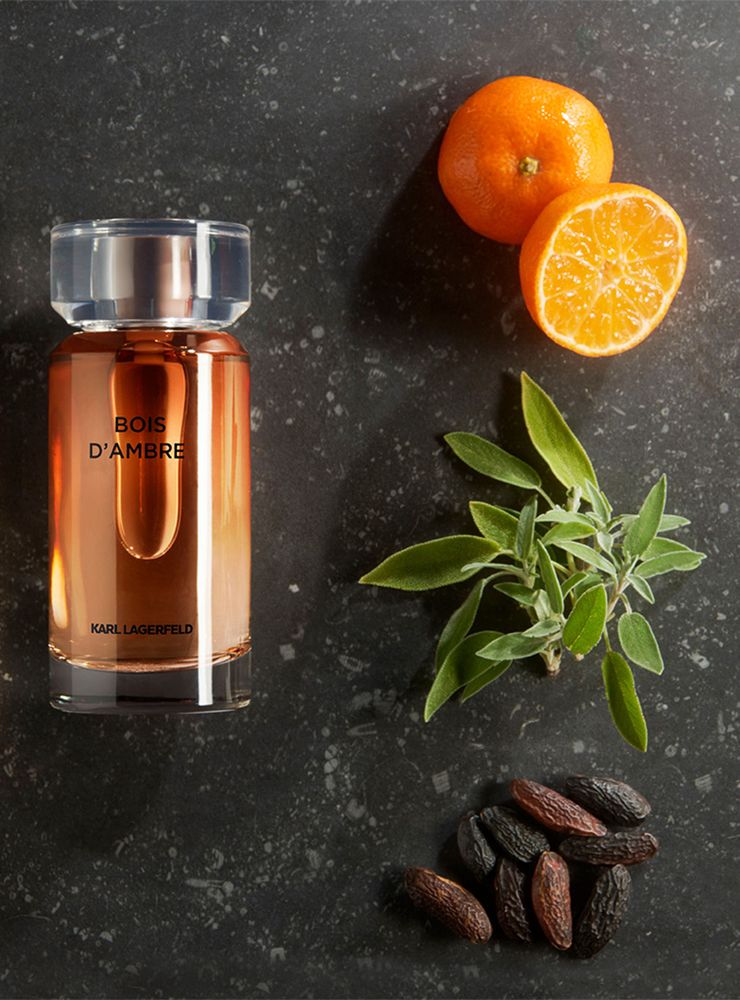 Karl Lagerfeld Bois d'Ambre EDT 100 ml, foto 3