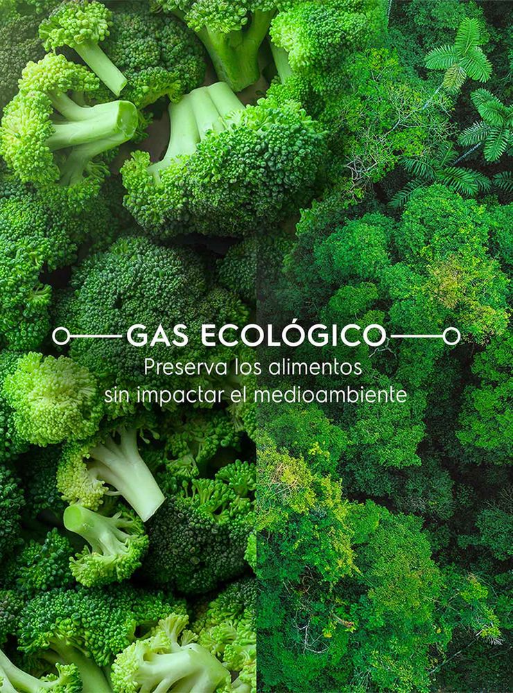Electrolux DB60GE Negro Glass, foto 6