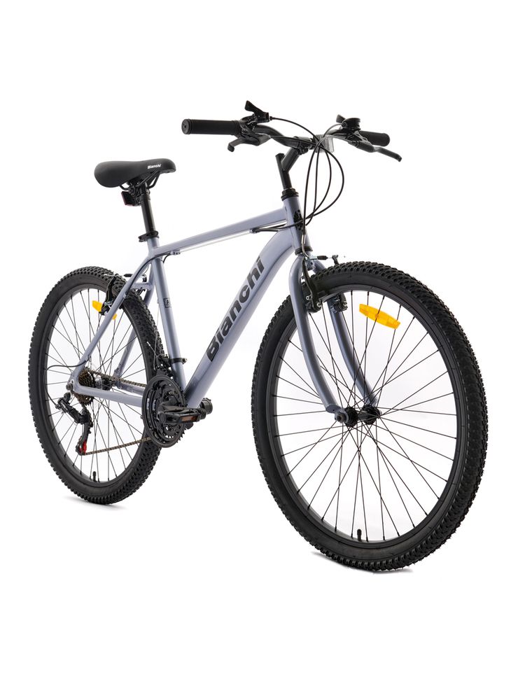 Bianchi MTB Pro 26 ST Alloy Gris, foto 2