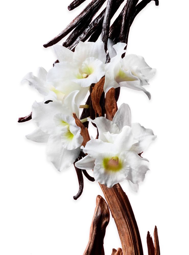 Viktor & Rolf Flowerbomb EDP 100 ml, foto 4