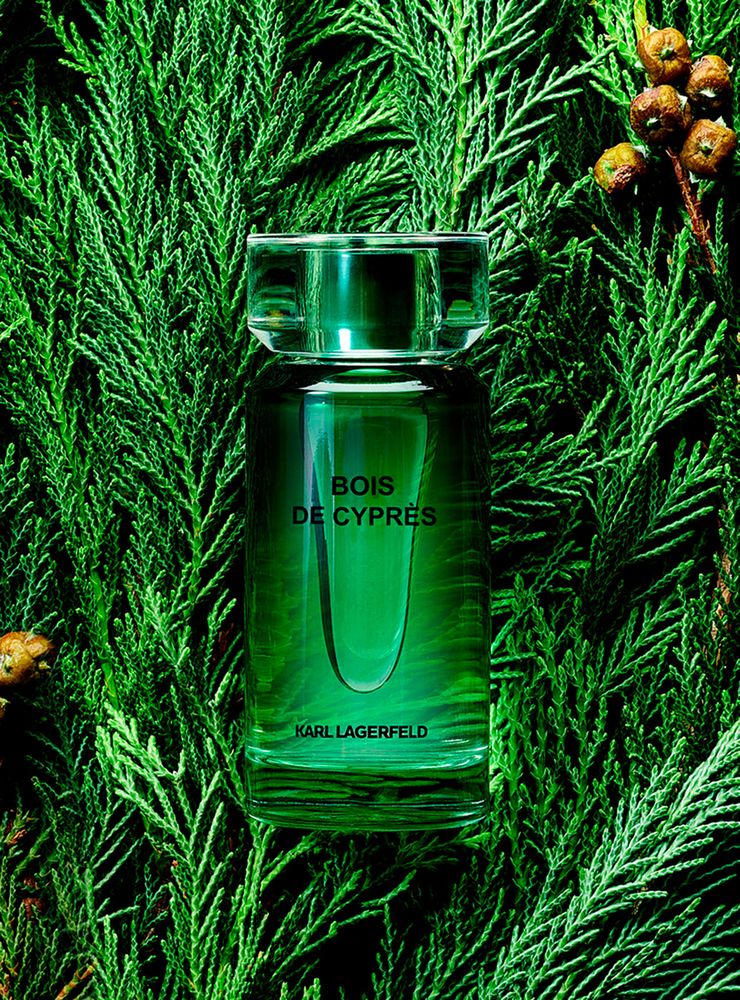 Karl Lagerfeld Bois de Cyprès EDT 100 ml, foto 3