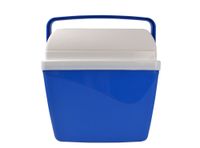 Cooler 32 litros Wenco