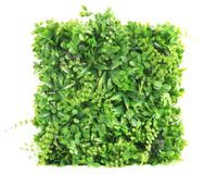 Arbusto artificial cuadrado 50x50 cm helecho verde Roots