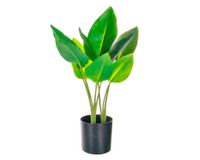 Planta artificial con macetero 45 cm Rubber Outzen