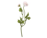 Flor artificial Ranúnculo doble baby rosado The Garden.