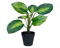 Planta artificial Croton A Outzen.