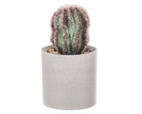 Planta artificial Suculenta F Outzen.