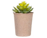 Suculenta artificial tipo flor Outzen
