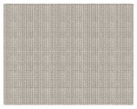 Antideslizante para alfombra 50x80 cm