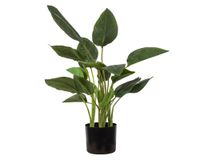 Planta artificial Strelitzia 78 cm