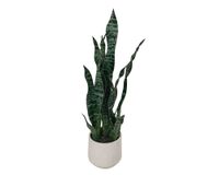 Planta artificial con maceta Sansevieria