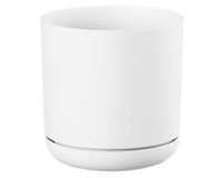 Maceta Oleander blanco 19 cm