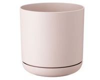 Maceta Oleander ecrue 15 cm