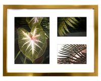 Multifoto 3 fotografías