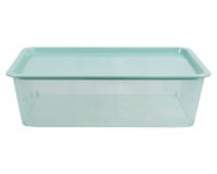 Caja organizadora menta 13 lt