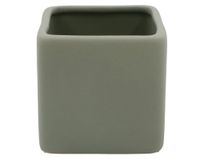 Portacepillos verde 8 cm