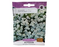 Semilla de flor corriente Alyssum 2 g