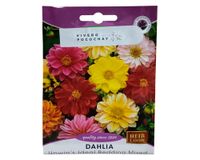 Semilla de flor corriente Dahlia Mix 1 g
