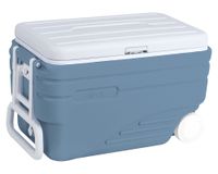 Nevera rígida con ruedas azul 47 lt