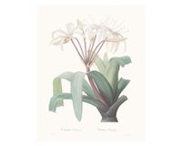 Lámina decorativa 50.8x40.8 cm D3