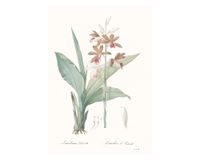 Lámina decorativa 100.8x70.8 cm D2