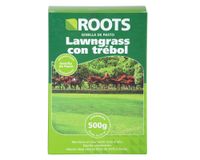 Semilla pasto lawngrass trébol corriente desinfectada 500g Roots