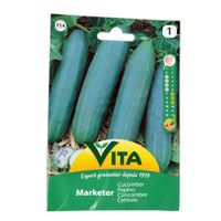 Semilla corriente desinfectada pepino medio largo mercado verde vita