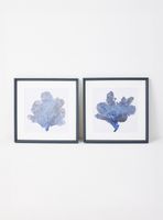 Set de 2 Cuadros Coral 60x60 cm