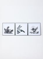 Set de 3 Cuadros Hojas Palm 60x60 cm