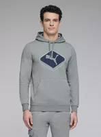 Polerón Gráfica Ess Swift Hoodie